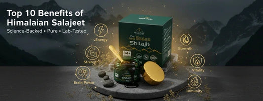 Top 10 Benefits of Himalayan Salajeet: The Natural Energy Booster Backed by Science