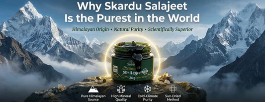 Why Skardu Salajeet Is Considered the Purest in the World (2025 Guide)