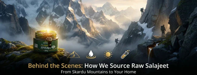 Behind the Scenes: How We Source Raw Salajeet From Skardu Mountains