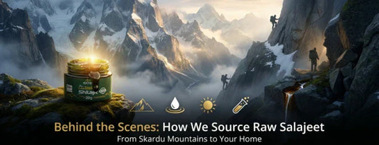 Behind the Scenes: How We Source Raw Salajeet From Skardu Mountains
