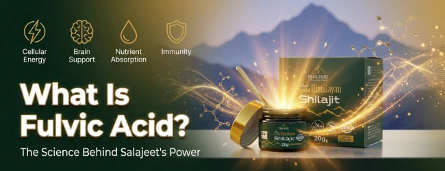 What Is Fulvic Acid? The Science Behind Salajeet’s Power