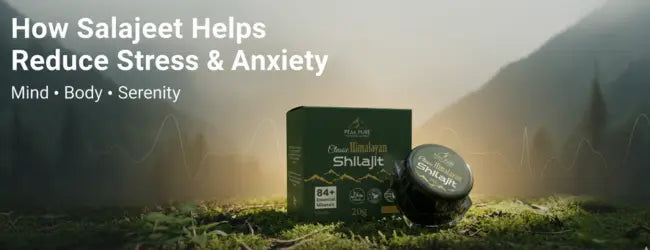 How Salajeet Helps in Reducing Stress and Anxiety Naturally