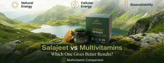 Salajeet vs Multivitamins – Which One Gives Better Results?