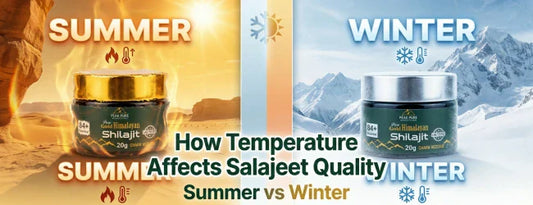 How Temperature Affects Salajeet Quality (Summer vs Winter)
