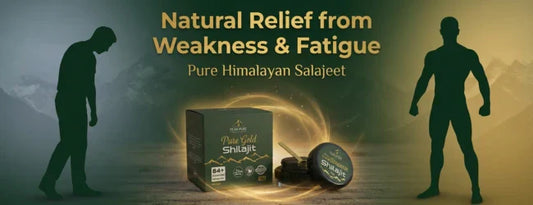 Salajeet for Weakness & Chronic Fatigue – Does It Really Help?
