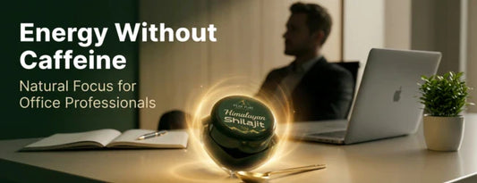 Salajeet for Office Workers – Natural Energy Without Caffeine