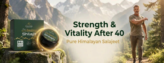 Salajeet for Men Over 40 – Hormonal Balance, Strength & Vitality