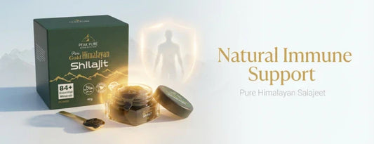 Can Salajeet Help With Low Immunity? Natural Support Explained