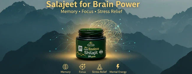 Salajeet for Brain Power: Memory, Focus & Stress Relief (Complete Guide)