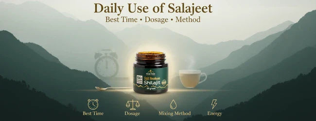 Daily Use of Salajeet: Best Time, Dosage & Method