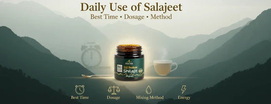 Daily Use of Salajeet: Best Time, Dosage & Method